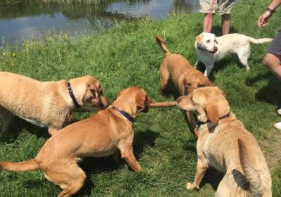 Besteven-Annual-Reunion-2018